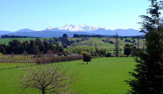 Moutere Valley, The Leaf Co is a Tasman local
